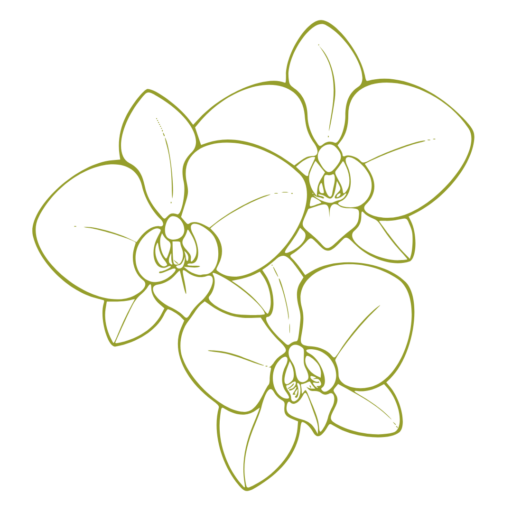 SzívfényHarmónia logo orchid
