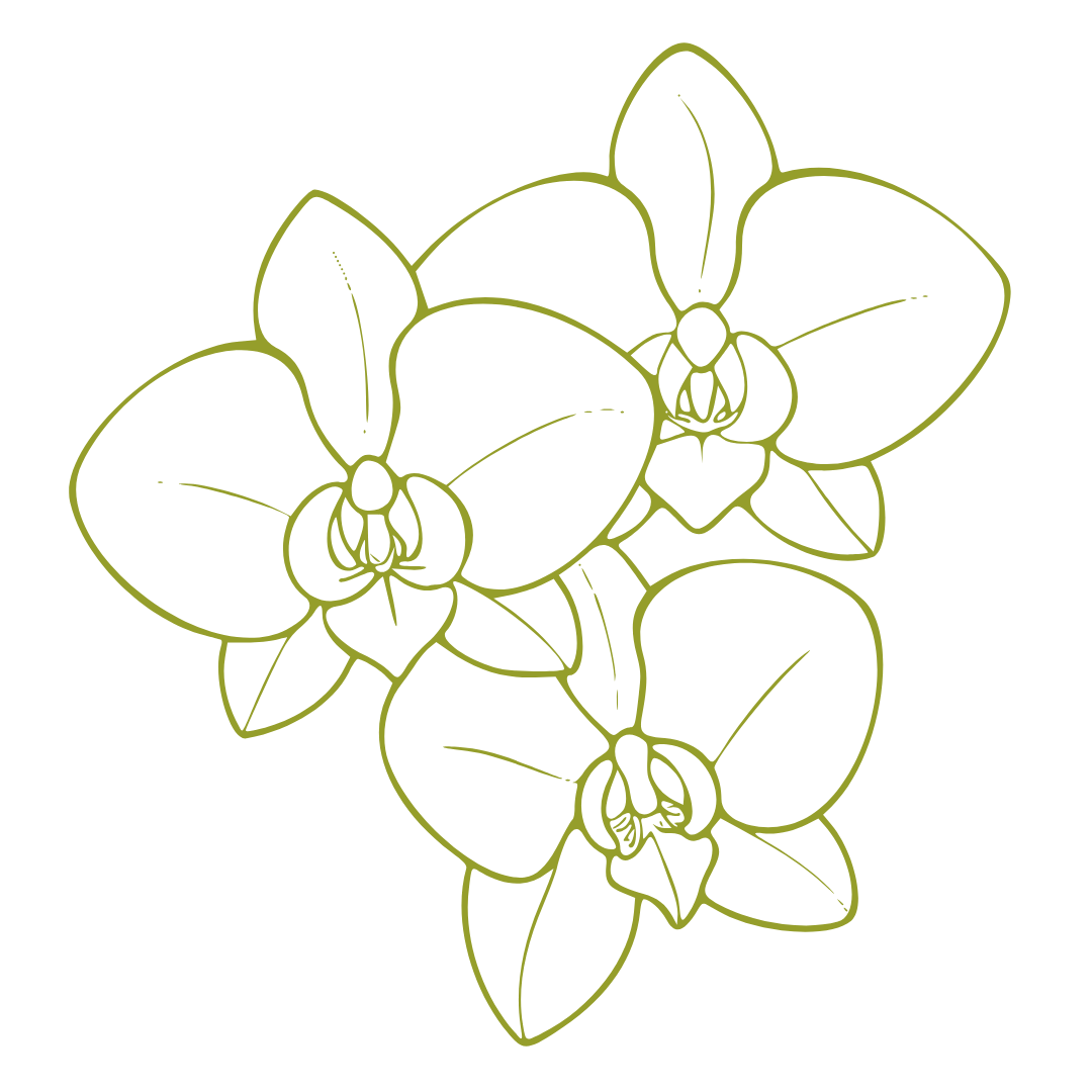 SzívfényHarmónia logo orchid